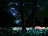 Bruce Munro
