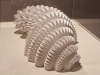 Matthew Shlian