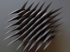 Matthew Shlian