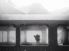 Ted Chin